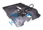����� ���� ��������