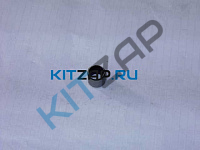 ����� ������������  _����_0