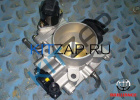 ����������� �������� (1.6L) � �����