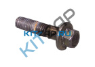 ���� ��������� ��������  